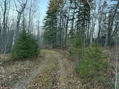 24965 Hammock Trail, Park Rapids, MN 56470 - photo 3