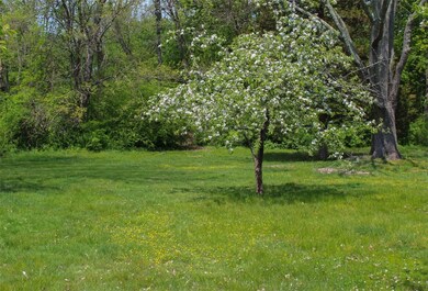 The property is part yard, mostly raw, wooded land