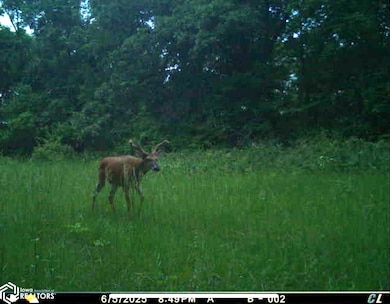 0 183rd Ave, Cincinnati, IA 52549 - photo 5