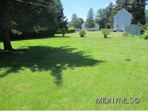 back yard