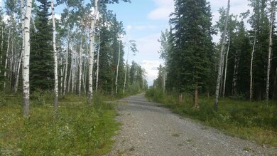 Lots of Aspen