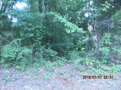 00 Ellis Cir, Chatsworth, GA 30705 - photo 4