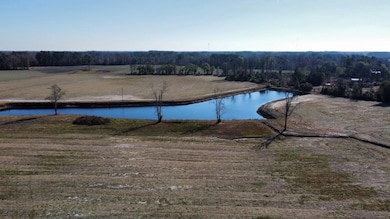 46.89 Ac Tbd Beth Ln, Nichols, SC 29581 - photo 5