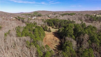 3567 Tot Hill Farm Rd, Asheboro, NC 27205 - photo 6