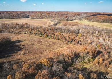 TBD SW 875 St, Kane Township, IL 62031 - photo 7