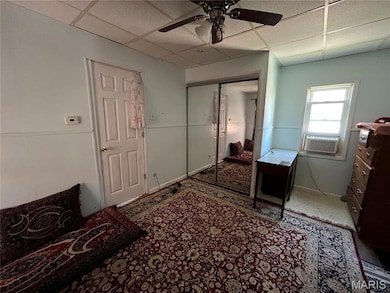 4441 Gannett St, Saint Louis, MO 63116 - photo 6