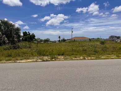 212 NW 5th Terrace, Cape Coral, FL 33993 - photo 6