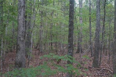 00 Mcgill Rd, Smyrna, SC 29743 - photo 4