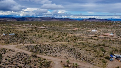 001 W Cajon Dr, White Hills, AZ 86441 - photo 6