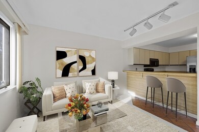 46 Fifer Ln, Lexington, MA 02420 - photo 5