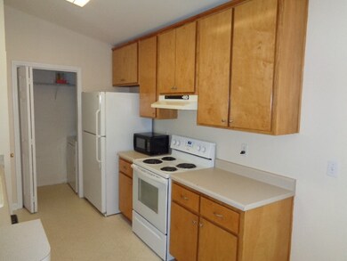 4 Webster Rd, Crawfordville, FL 32327 - photo 3