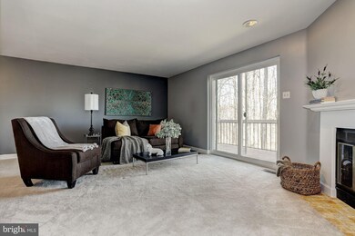 11890 Blue February Way, Columbia, MD 21044 - photo 3