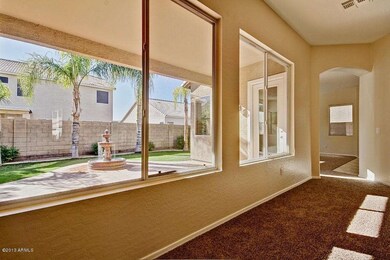 View of backyard