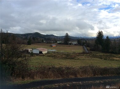 1301 Belmont Rd, Raymond, WA 98577 - photo 3