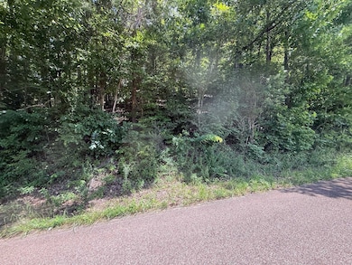 View of asphalt road with a wooded view