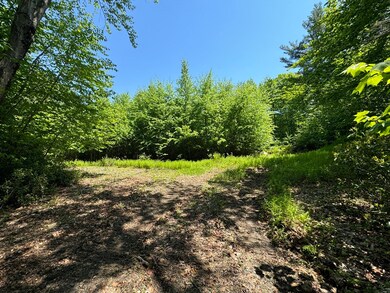 Lot 56.1 Locke Hill Rd, Wendell, MA 01379 - photo 4