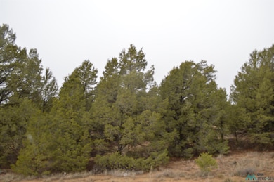 Lot 216 and 217 Old Well Rd, Candy Kitchen, NM 87321 - photo 5