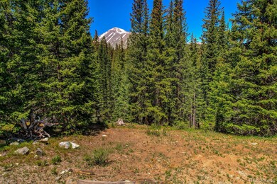 0307 Cr 674 unit 18, Blue River, CO 80424 - photo 3