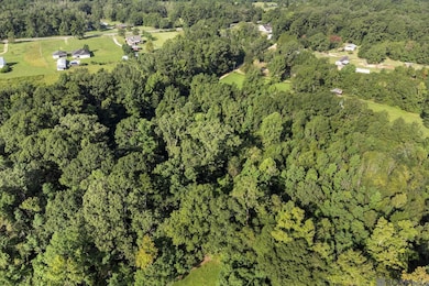 tbd Port Hudson Pride Rd, Pride, LA 70770 - photo 4