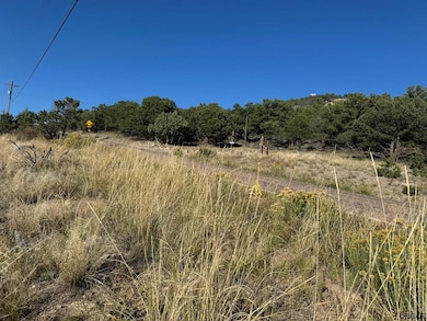 TBD Copper Gulch Rd, Cotopaxi, CO 81223 - photo 7