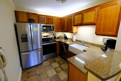 617/619 Jackson Gore Adams House unit 617/619 QII, Ludlow, VT 05149 - photo 6