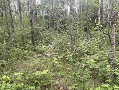 0 W Miller Rd unit 50168811, Mio, MI 48647 - photo 7