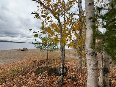 22 Pine Tree Shore, Alexander, ME 04694 - photo 2
