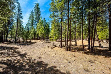 14-web-or-mls-4-28-25 51864 Applewood Wa