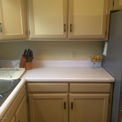 1120 Skyview Dr, Milton, PA 17847 - photo 7