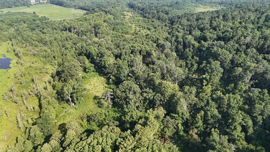 DJI_20250722102923_0245_D