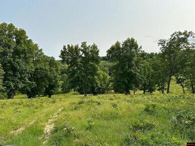 001-07371-001 Mc 5014, Everton, AR 72633 - photo 4