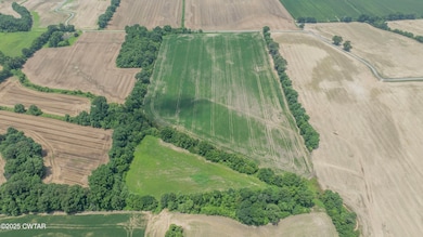 -- Holcomb Rd, Ripley, TN 38063 - photo 6