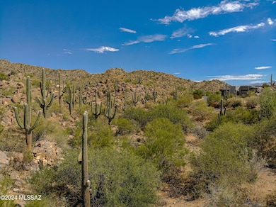 1173 W Tortolita Mountain Cir unit 182, Oro Valley, AZ 85755 - photo 6