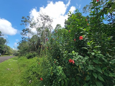 0 S Nenue St unit 725900, Pahoa, HI 96778 - photo 2