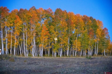 33339 Oak Mesa Rd, Hotchkiss, CO 81419 - photo 7