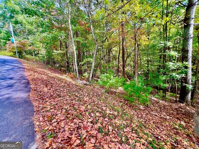 577 Tonto Dr, Ellijay, GA 30540 - photo 4