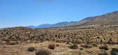 0 98th St E, Juniper Hills, CA 93543 - photo 7