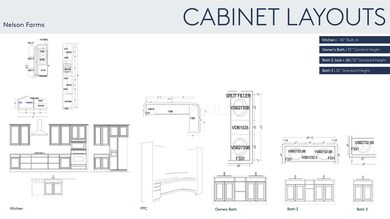 Cabinet Layouts
