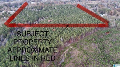 100 Presbyterian Church Rd, West Blocton, AL 35184 - photo 3