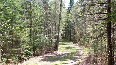 2137 Nh Route 118, Dorchester, NH 03266 - photo 6