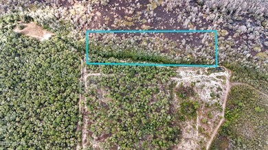 0 Pine Log Rd unit 782404, Chipley, FL 32428 - photo 5