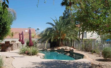 Pool & BBQ