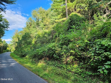 L16.1&16.7 Valley Summit Rd, Greenwich, NY 12834 - photo 5