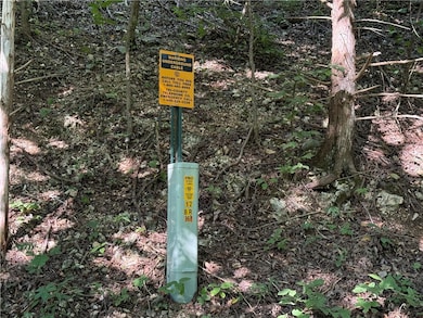 0 Cr 995 Rd unit 1316360, Green Forest, AR 72638 - photo 2