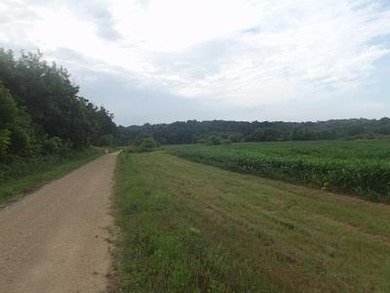 51+/- Acres Cth 0 Rd, Mineral Point, WI 53565 - photo 2