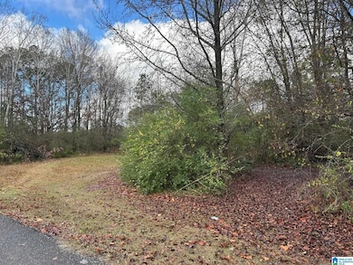 0 Francis St, Anniston, AL 36206 - photo 4