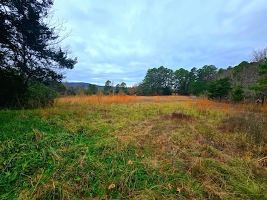 20288 State Highway 63, Hogen, OK 74939 - photo 3