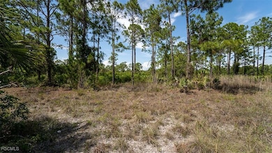 2409 62nd Ave NE, Rural Estates, FL 34120 - photo 3