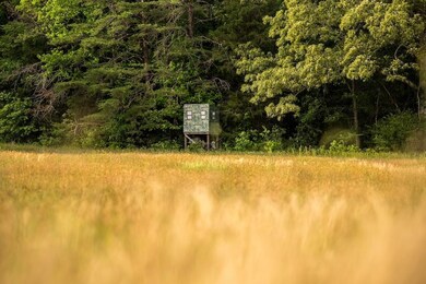 0 Glendale Rd unit LotWP001 23604181, Morris Chapel, TN 38361 - photo 5