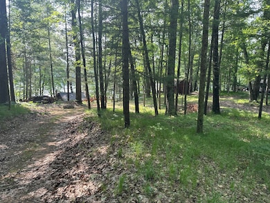 9572 S Oxeye Ave, Baldwin, MI 49304 - photo 7